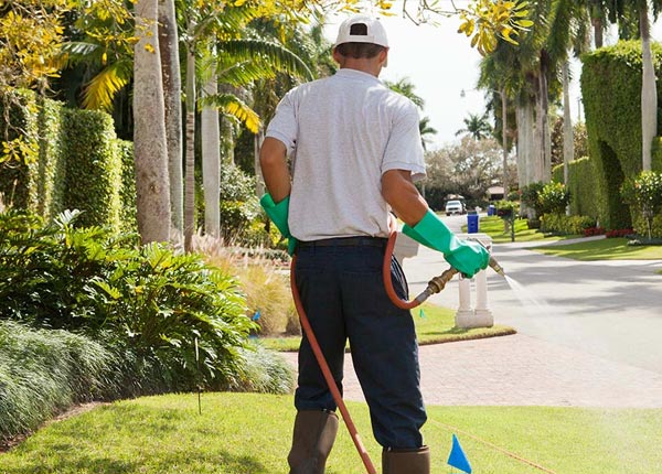 About Bluffton TX Pest Control